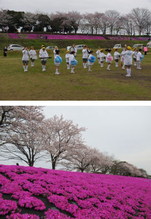 写真：相武台鼓笛隊による演奏と日本一の長さを誇る芝ざくらライン