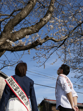 観光親善大使と桜の写真5