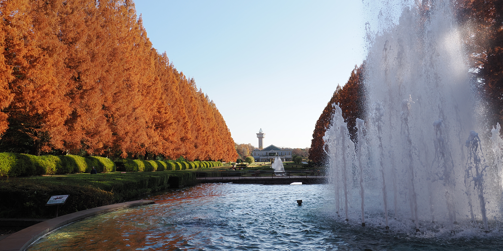 写真：相模原公園