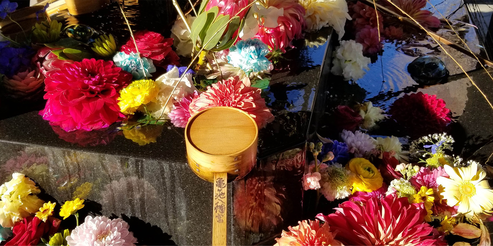 写真：初詣の花手水（亀ヶ池八幡宮）