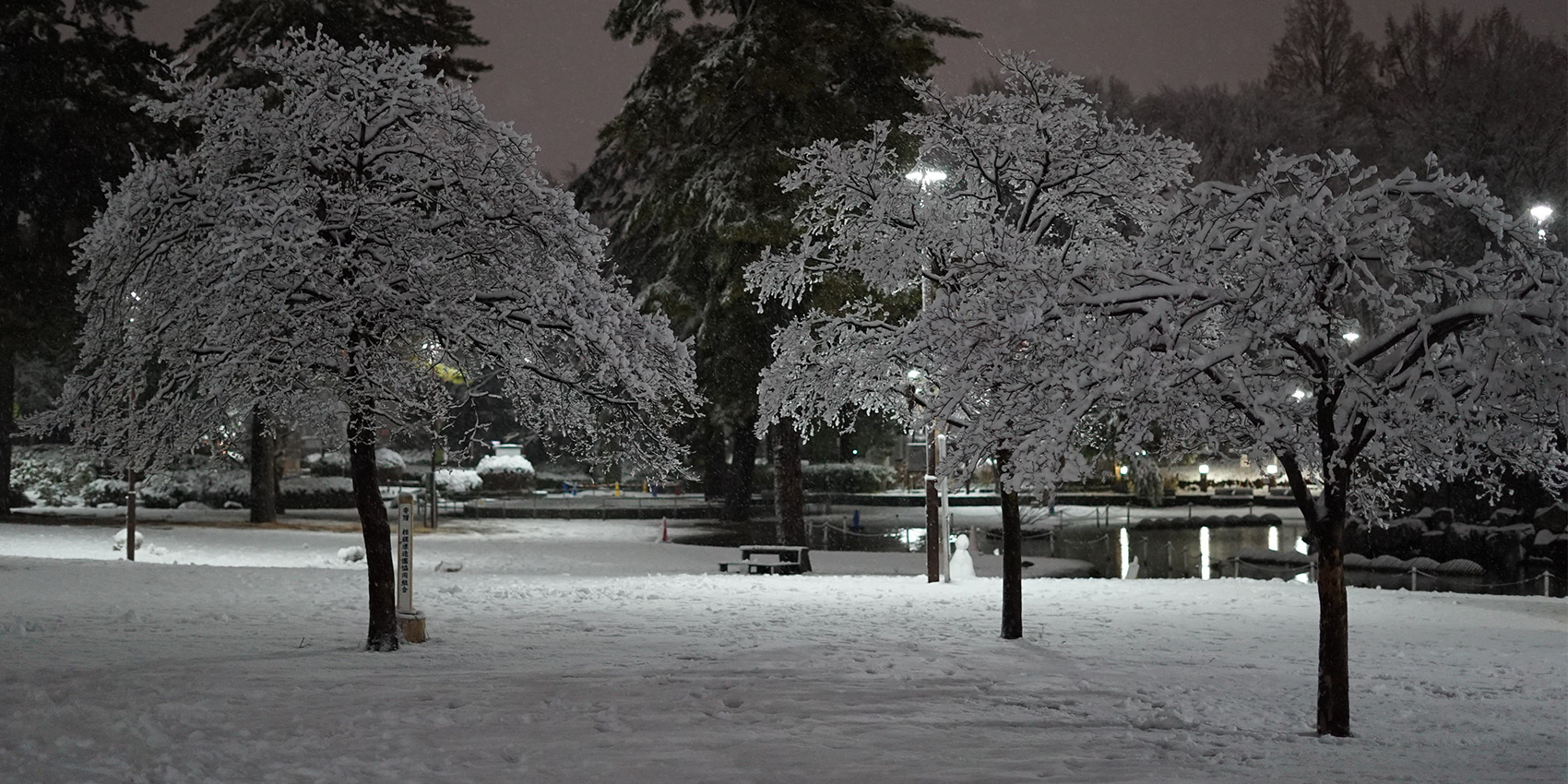 写真：雪景色（相模大野中央公園）