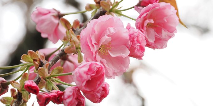 写真：津久井湖城山公園