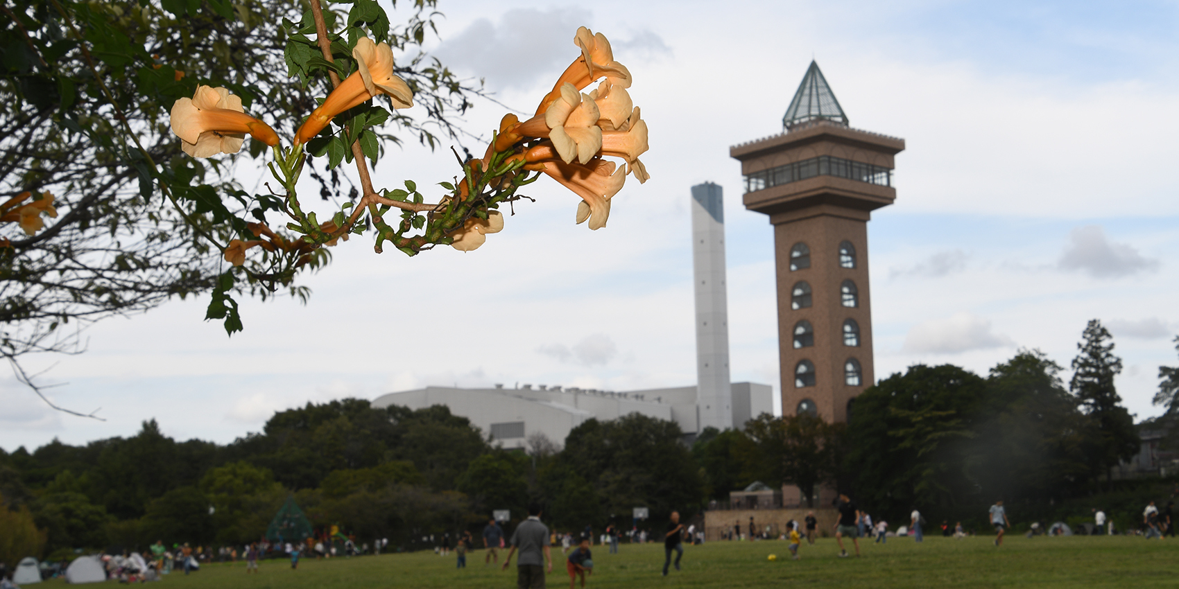 写真：相模原麻溝公園
