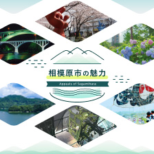 相模原市の魅力　画像