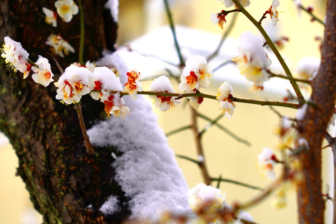 2026年2月分　写真