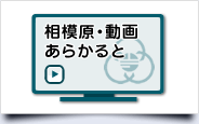 相模原・動画あらかると