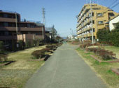 写真：横浜水道道緑道