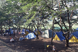 上大島キャンプ場の写真