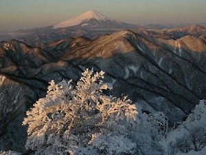 厳冬の北丹沢の写真