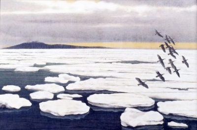 「北の海（氷）」の画像
