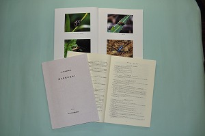 津久井町史調査報告書「津久井町の昆虫1」の写真