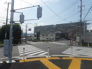 南西側整備済(巻込部)の写真