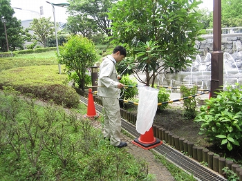 人囮法の写真