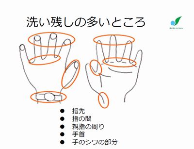 洗い残しの多いところ　指先、指の間、親指の周り、手首、手のシワの部分