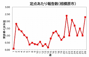 定点あたり報告数（相模原市）グラフ