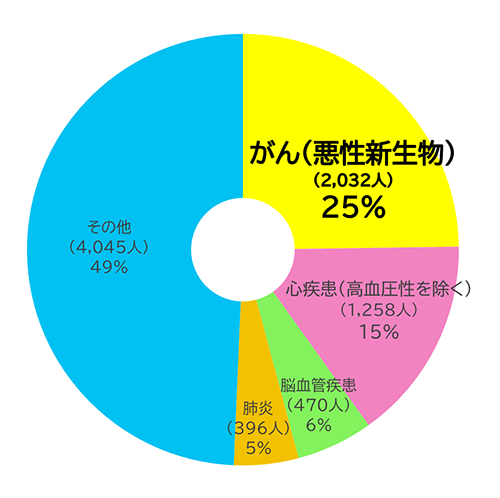 円グラフ：がん（悪性新生物）(2,032人)25%、心疾患（高血圧性を除く）（1,258人）15%、肺炎（396人）5%、脳血管疾患(470人)6%、その他（4,045人）49%