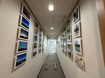 和泉短期大学1号館1階廊下の写真