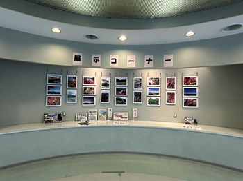 さがみはら北の丘センター展示コーナーの写真
