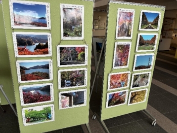 相模原市緑区合同庁舎エントランスホール写真