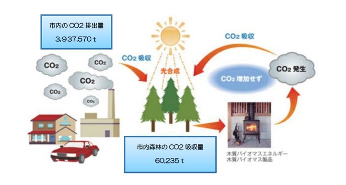 地球にやさしい森林のイメージ画像