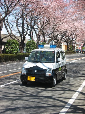 青パトカー（青色回転灯装備車両）