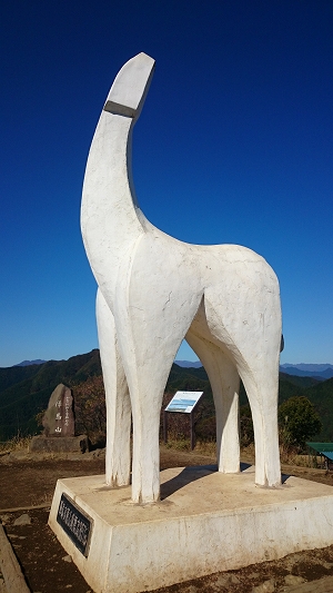 陣馬山 山頂の写真
