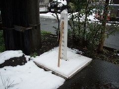 積雪観測板に寄り添う積雪観測棒の写真