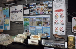 神奈川県水産技術センター　内水面試験場の写真