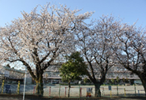 大野北小学校