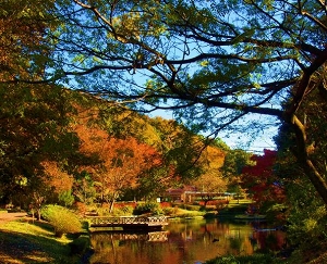 道保川公園の写真