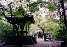 無量光寺境内及び笈退の遺跡写真