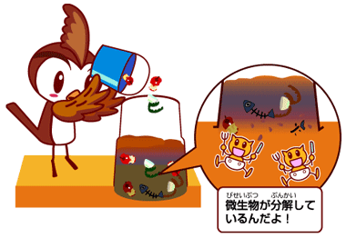生ごみで肥料 ひりょう を作ろう 相模原市