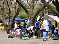 上大島キャンプ場の拡大写真を表示