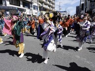 相模原よさこいRANBU！ の拡大写真を表示