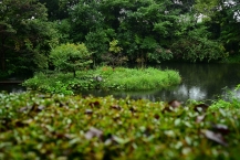 道保川公園の拡大写真を表示
