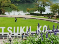 ブルーサルビア(津久井湖水の苑地)の拡大写真を表示
