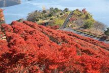 鳥居原湖畔庭園の拡大写真を表示