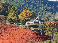鳥居原ふれあいの館 対岸からの眺め(2025年11月分)の拡大写真を表示