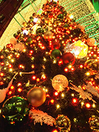 クリスマス イルミネーション（ミウィ橋本）（2025年12月撮影分）の拡大写真を表示