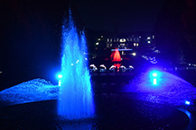 庭園の夜を彩る噴水ライトアップ2025（県立相模原公園）（2025年12月撮影分）の拡大写真を表示