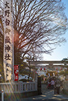 相模原市御嶽神社 初詣（2025年1月撮影分）の拡大写真を表示