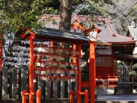 初詣、絵馬に願いを込めて（村富神社）（2026年1月撮影分）の拡大写真を表示