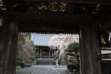 桜咲く、方運山青柳寺の拡大写真を表示
