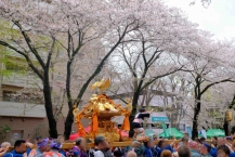 相模原桜まつりの拡大写真を表示