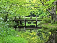 新緑の風景 道保川公園の拡大写真を表示