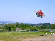 相模の大凧まつりの拡大写真を表示