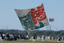相模の大凧、力を合わせての拡大写真を表示