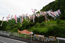 まいあがるこいのぼりの拡大写真を表示