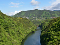 新緑の風景　桂橋からの眺望の拡大写真を表示