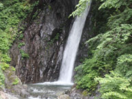 新緑の風景　エビラ沢の滝の拡大写真を表示